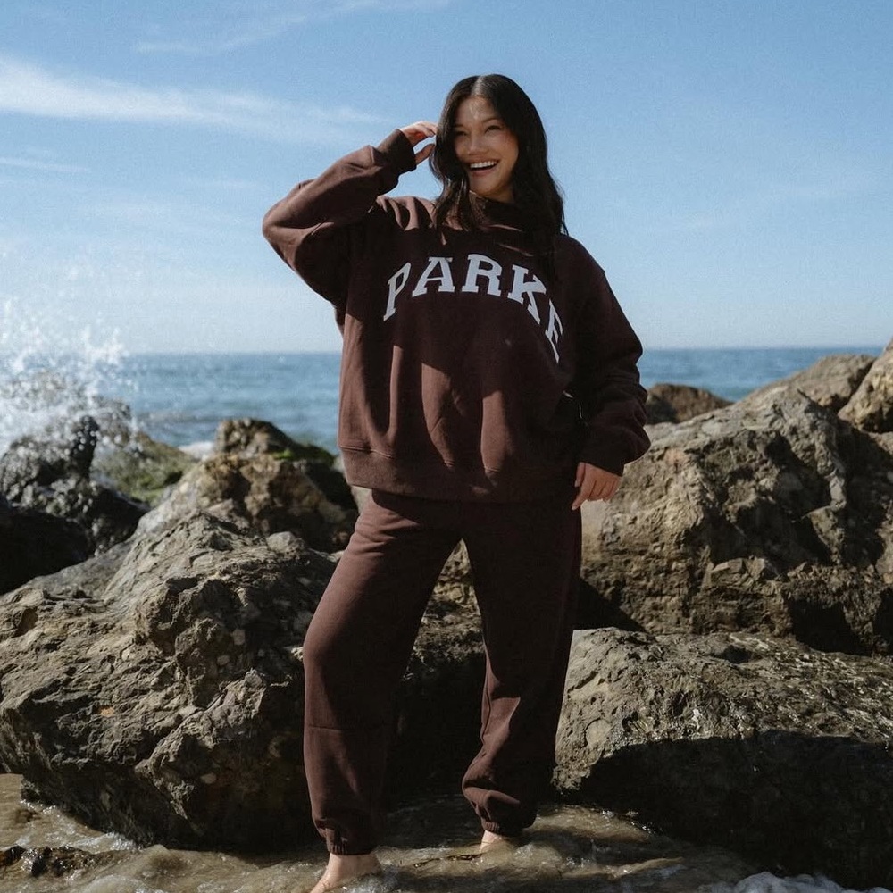 Parke Brown Hoodie
